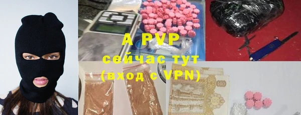 стафф Алзамай