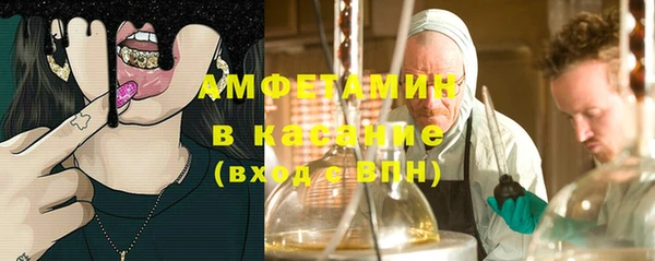 стафф Алзамай